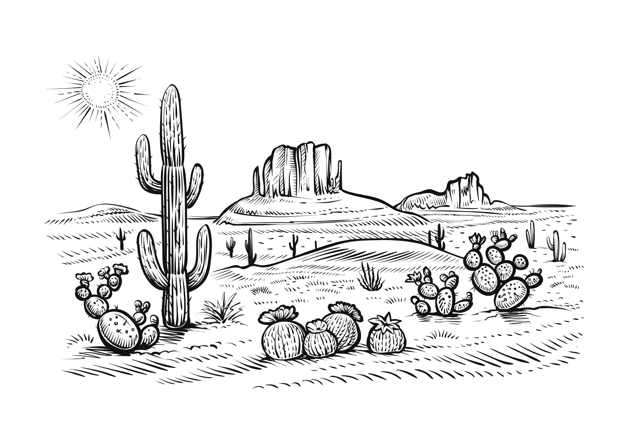 Desert Oasis